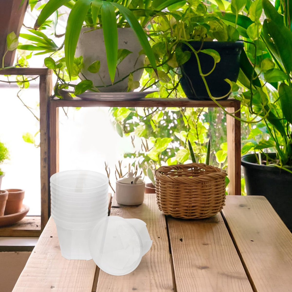 Alasum Transparent Planter Pots with Drainage Holes 10 Pack Clear Plastic Nursery Pots 3.93X3.93X3.14In for Succulents Cactus Orchid Small Flowers Root Control for Home Office