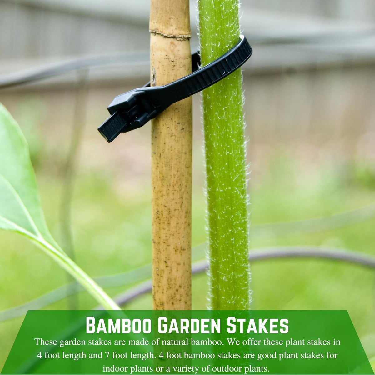 Farm Plastic Supply - Bamboo Garden Stakes - Bambo Sticks, Bamboo Plant Stakes for Outdoor Plants, Plant Support Stakes for Indoor Plants (4 Foot, 5)
