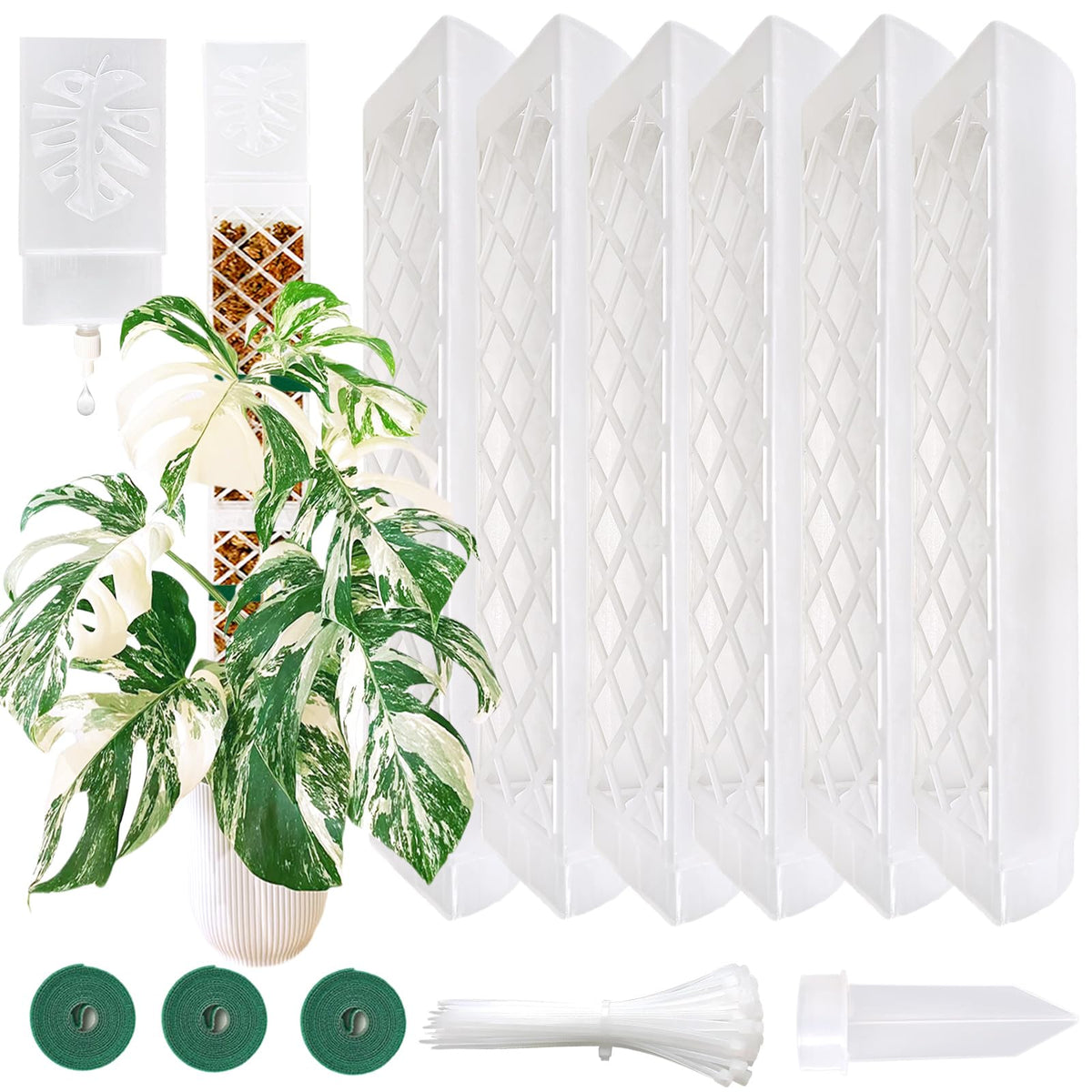 MIIIM 6 Pcs Self-Watering Moss Poles, D Shape Moss Pole Kit for Climbing Plants Indoor, Semi Transparent Monstera Plant Support, 69 Inches in Total Length