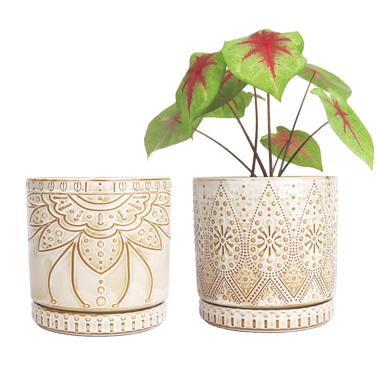 YFFSRJDJ 6 Inch Indoor Plant Pots with Drainage Holes and Saucers, Ceramic Planter for Plants, Flower Pot - Set of 2