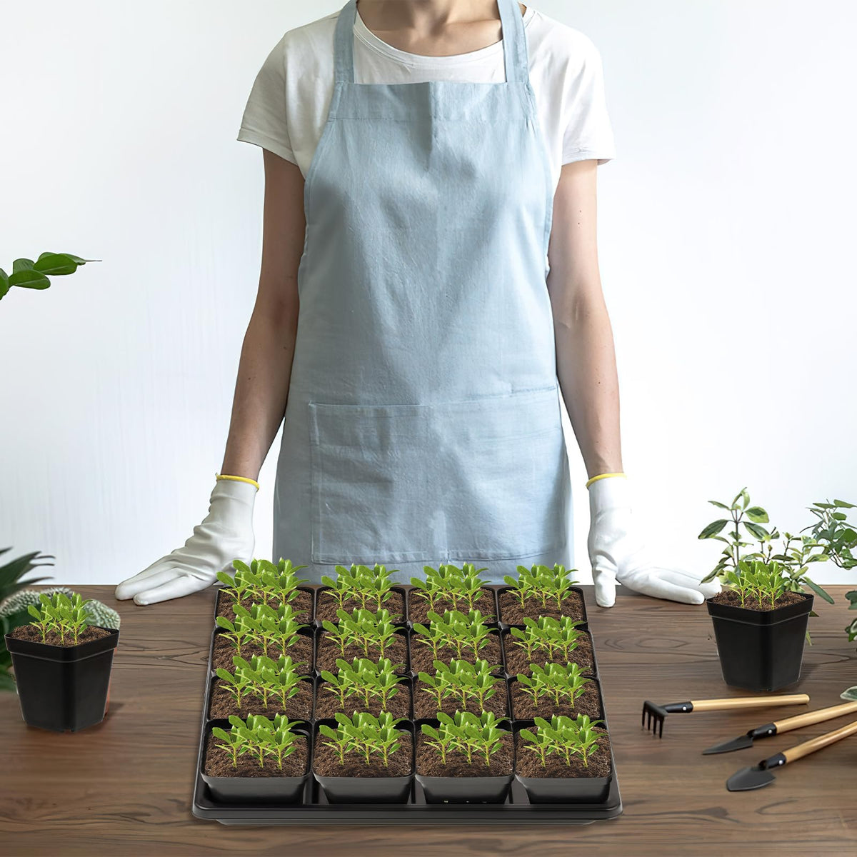 CIEOVO 2.4 inch 80 Pcs Square Nursery Pots with Drain Holes and 5 Pcs Plastic Plant Growing Trays, Seed Starter Kit Propagation Tray Seed Starting Pots for Seedling Plant Growing
