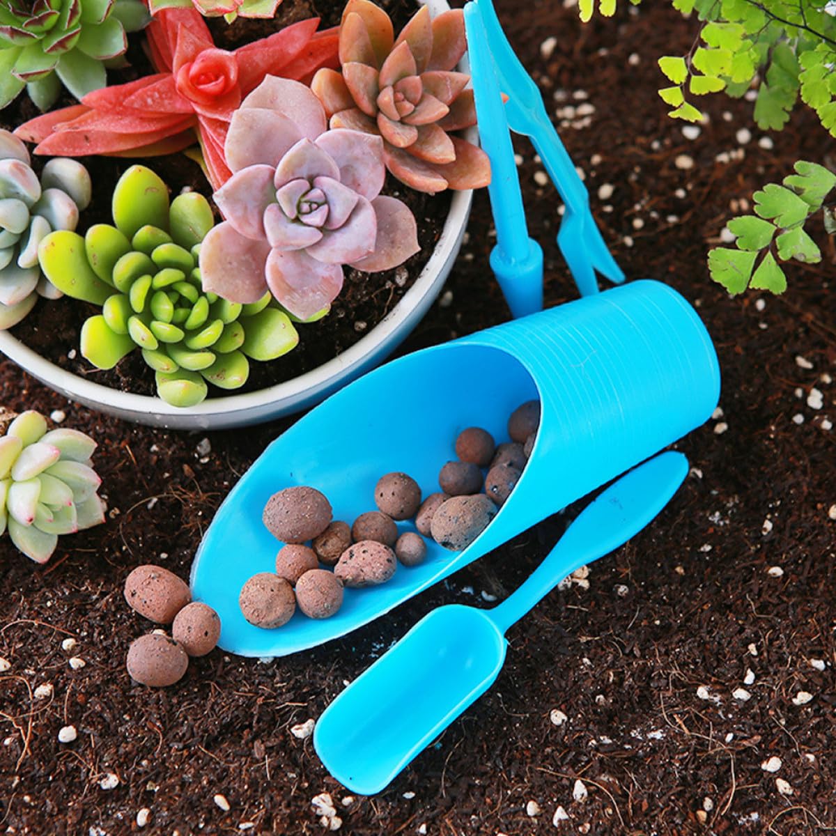 DEARMAMY 5pcs Plastic Soil Scoops Gardening Cups for Succulent Planting, Lightweight Reusable Garden Soil Shovels with Set for Transplanting and Potting