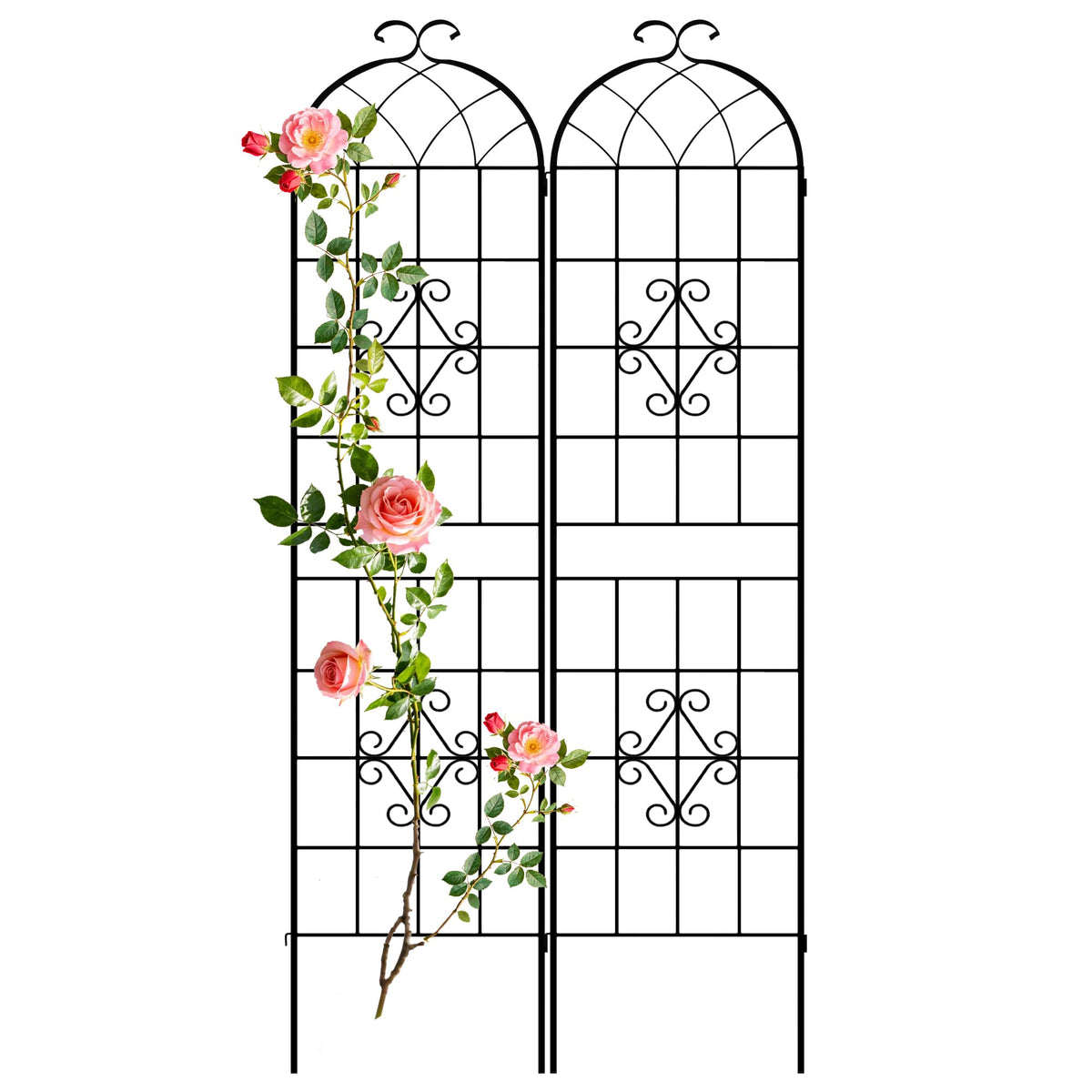 LZRS 2 Pack 78.7x20in Rustic Iron Arch Decoration Garden Trellis with Black Metal Coating – Perfect for Supporting Climbing Plants Outdoor, Roses, Vines, Flowers, and Vegetables.