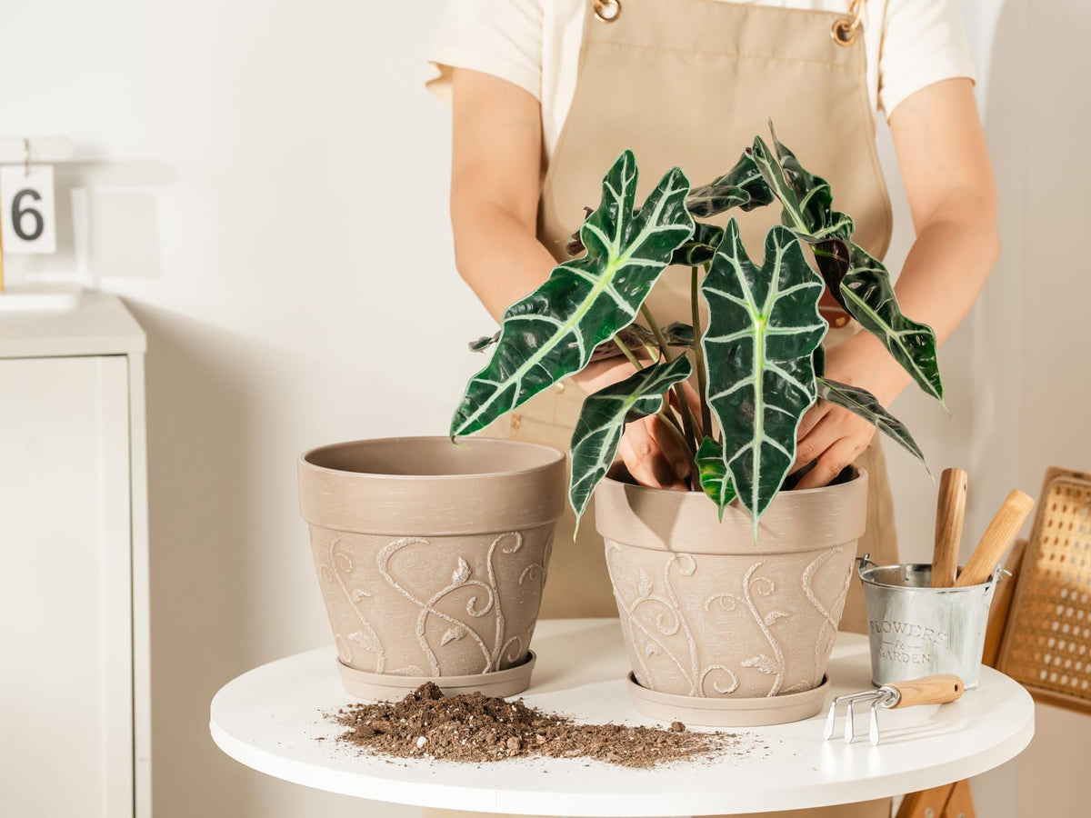 Melphoe Plant Pots Indoor with Drainage & Saucer, 2Pack 8 inch Flower Pots Outdoor Planters for Indoor Plants Garden Home Decor Cactus Succulent, Rigid Plastic (Imitation-Terracotta) Vine-Embossed