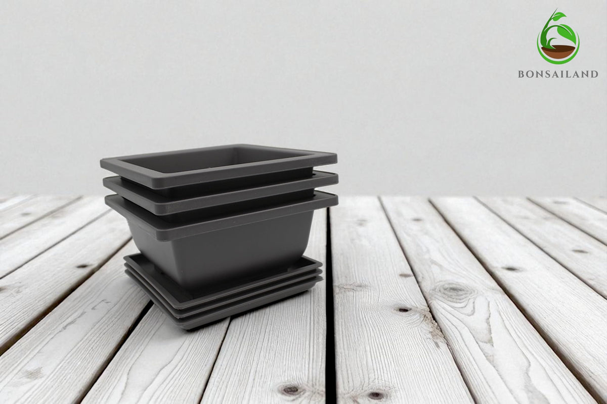 Bonsai Training Containers with Humidity Trays, 6.5 Inch Square Plastic Planter Pots for Garden, 3 Pack for Succulents, Small Flowers and Plants