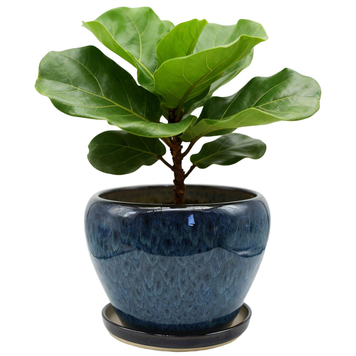 MAGP 10 Inch Large Plant Pots with Drainage Hole and Saucer, Large Ceramic Decorative Flower Pot for Plants Indoor Outdoor Planter, Round Blue