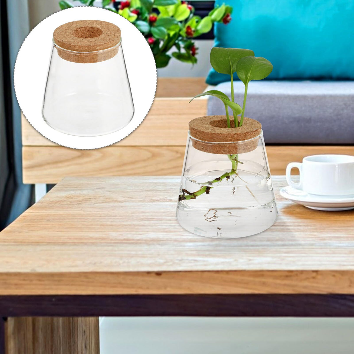 BESPORTBLE 2pcs Hydroponic Glass Vases 400ml with Cork Lid 6.5cm Opening Diameter Desktop Plant Terrariums for Hydroponics and Garden Decoration