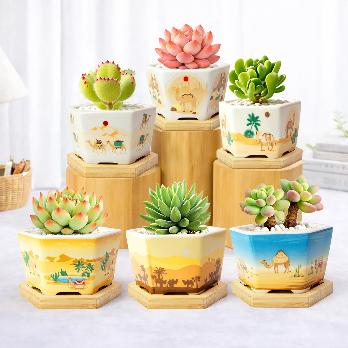 Succulent Pots, 6 Pack Floral Plant Pots with Drainage Tray, 3.7" Small Flower Pots for Indoor Plants, Ceramic Succulent Planters for Cactus, Home Office Decor