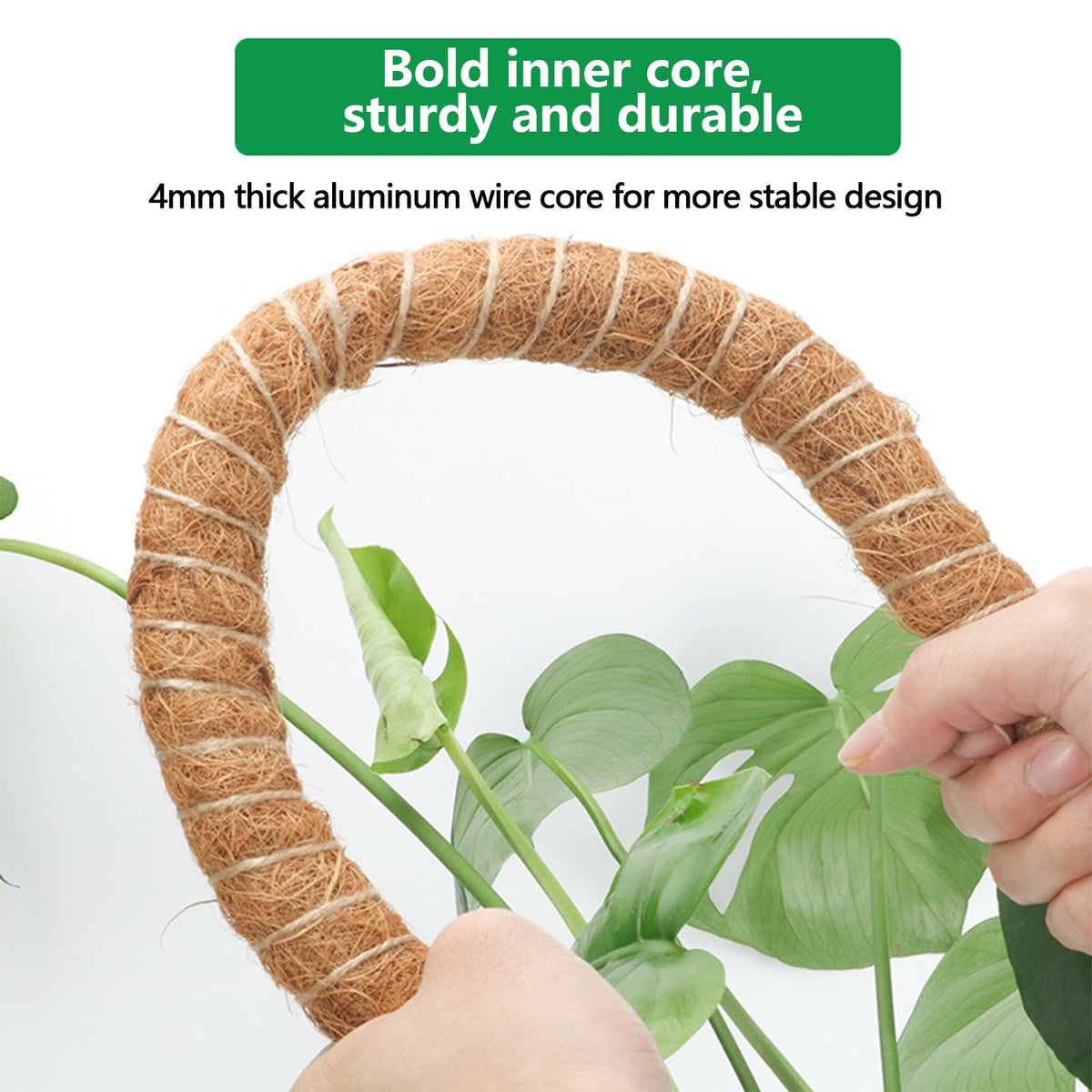 3 Pack Moss Pole,31 Inch Monstera Plant Support,Bendable Plant Trellis Moss Pole for Plants Monstera,Moss Poles for Climbing Plants Indoor,Coir Plant Pole Sticks Support Stakes (3pcs)