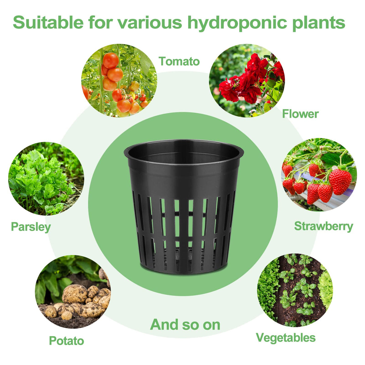 Reeooue 500-Pack 2 Inch Hydroponics Net Pots - Slotted Mesh Net Cups for Plant Growing System - Self Watering Baskets for Indoor and Outdoor Plants, Hydroponics Supplies Kit