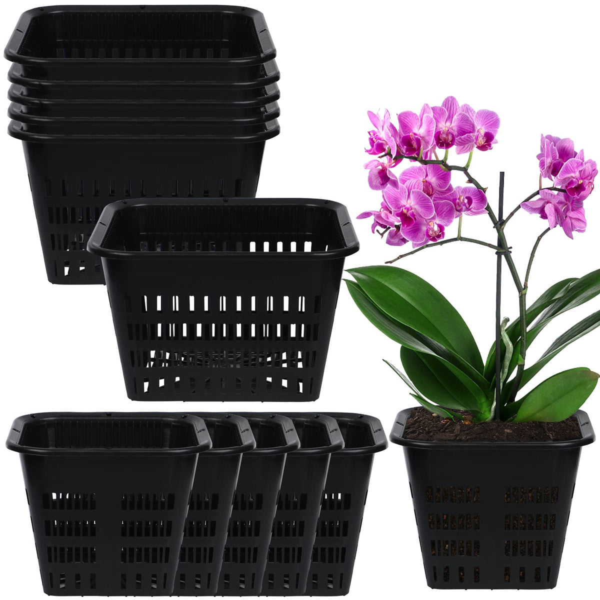 12 Pcs Black Orchid Pot Set - Breathable Slotted Plastic Plant Pot with Drainage Hole for Air Plants & Orchids (7.1 Inches, 5.5 Inches)