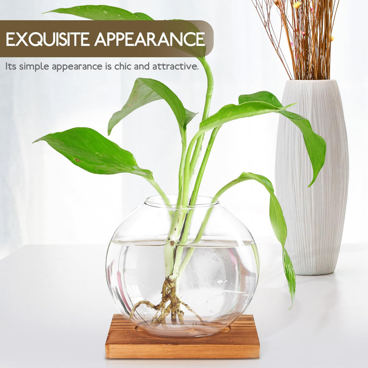 DOITOOL Wood Base Glass Hydroponic Vase for Plant Propagation, Desktop Planter Bottle with Retro-Style Base, Home and Office Flower Terrarium Decoration