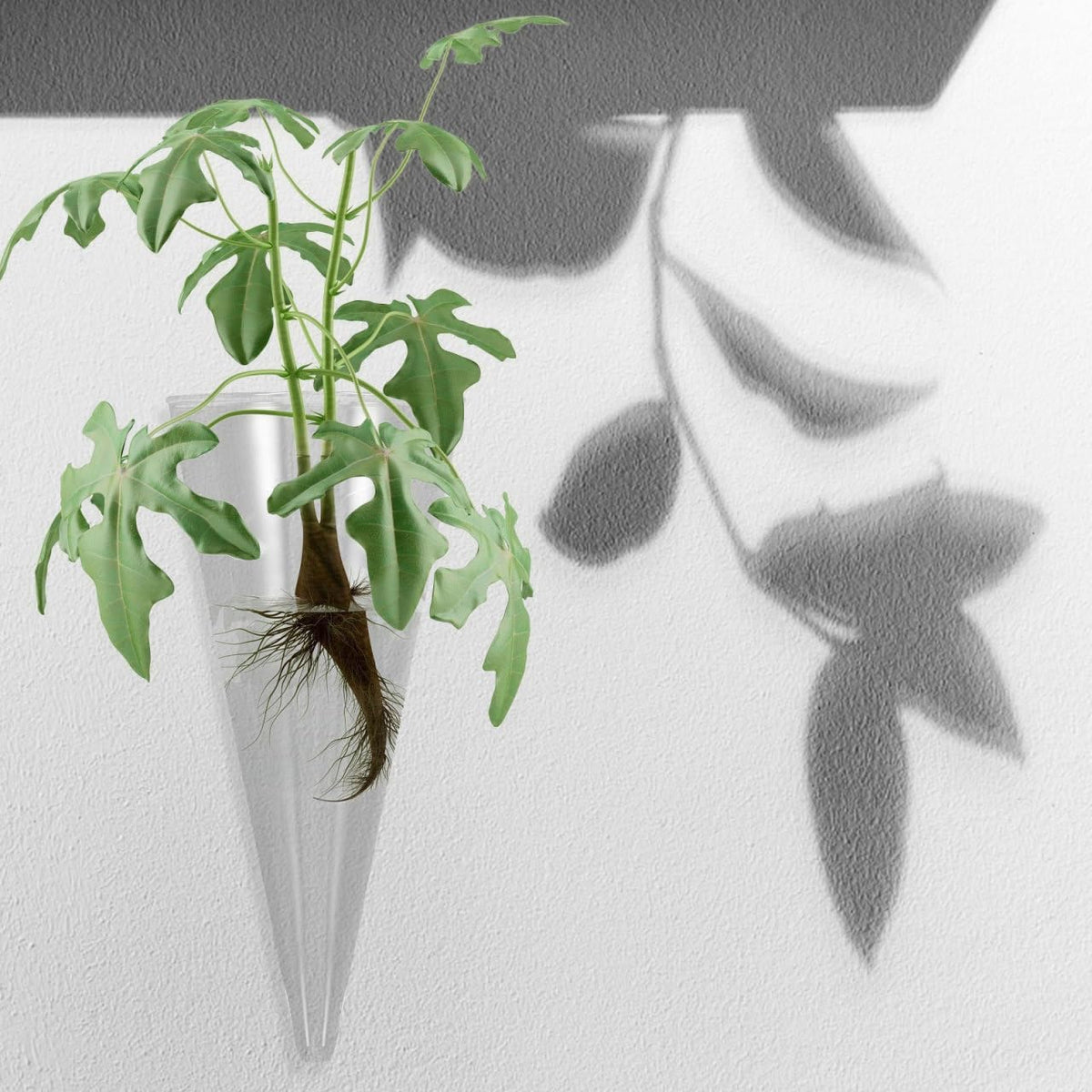 Cone Shaped Wall Vase: Clear Glass Hanging Planter - Reusable Wall Mounted Flower Vase for Succulent, Hydroponic Plant Propagation & Modern Home Decor