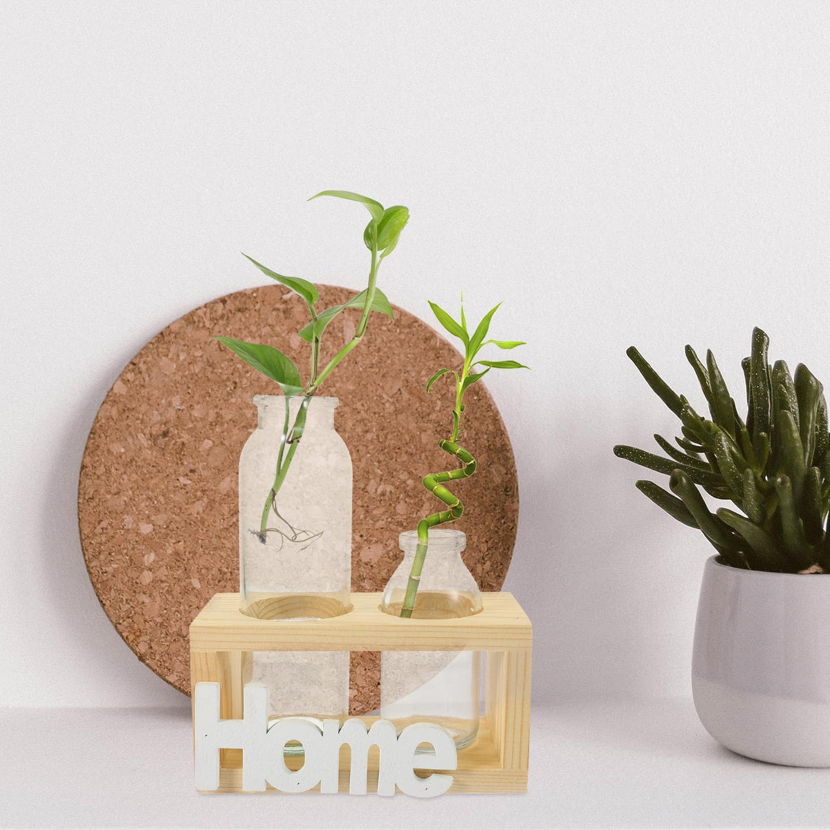 Abaodam Hydroponic Glass Vase with Wooden Rack, Nordic Style Plant Terrarium for Indoor Propagation and Home Décor, 2pcs Set Desktop Glass Planter for Hydroponic Plants