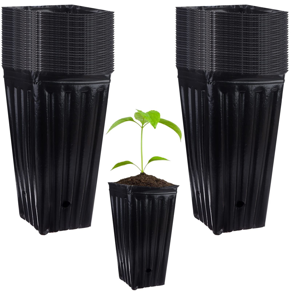 70Pcs Tall Tree Pots 7.84 In Plastic Deep Nursery Treepots Tall Seedling Flower Plant Container Pots with Drainage Holes Seedling Nursery Bags Black Tree Tubes for Seedlings for Indoor Outdoor Plants