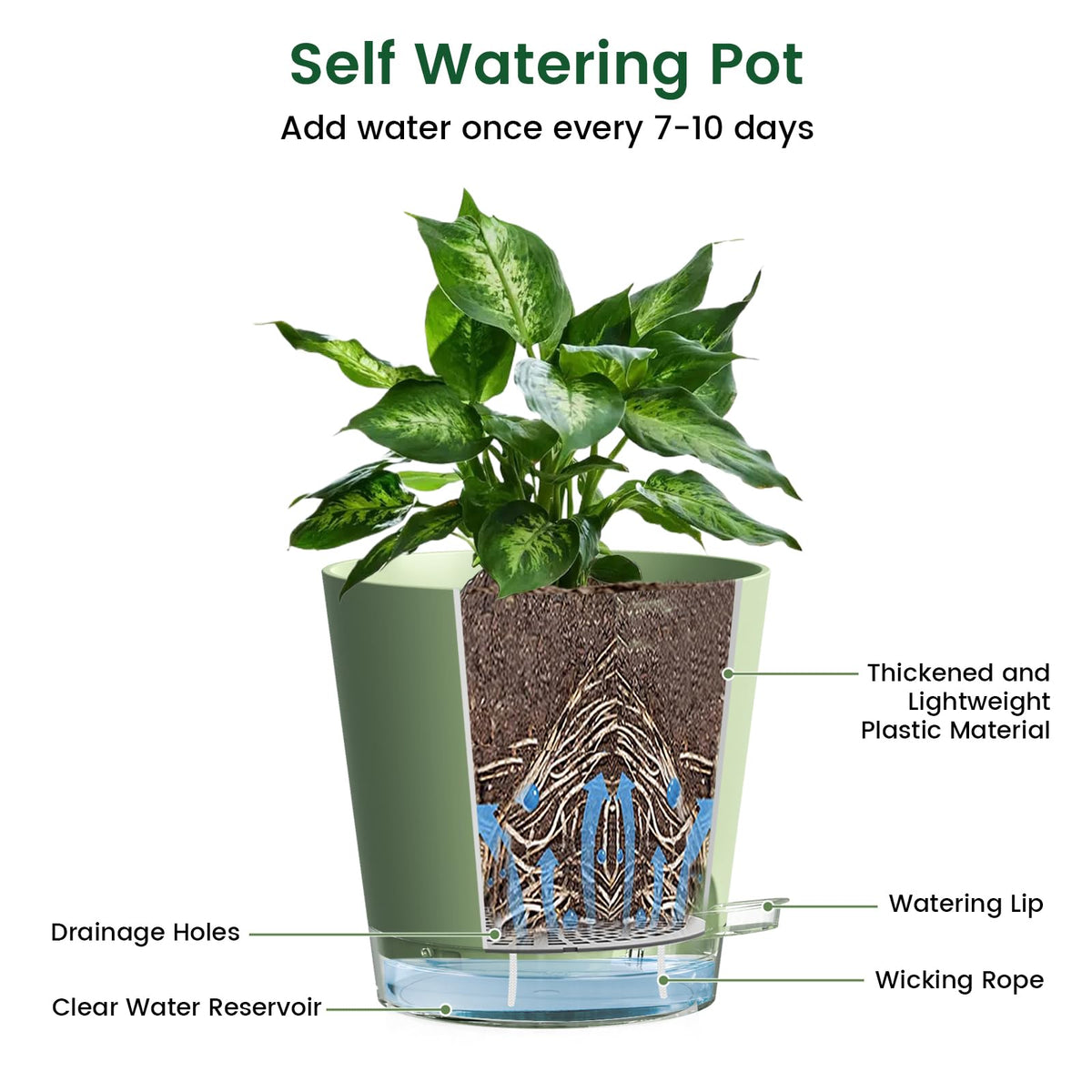 Meowell 6 inch Self Watering Pots for Indoor Outdoor Plants, 3 Pack Flower Plant Pots with Drainage Holes and Clear Reservoirs, Visible Water Level, Plastic Planters with Wicking Rope, Green