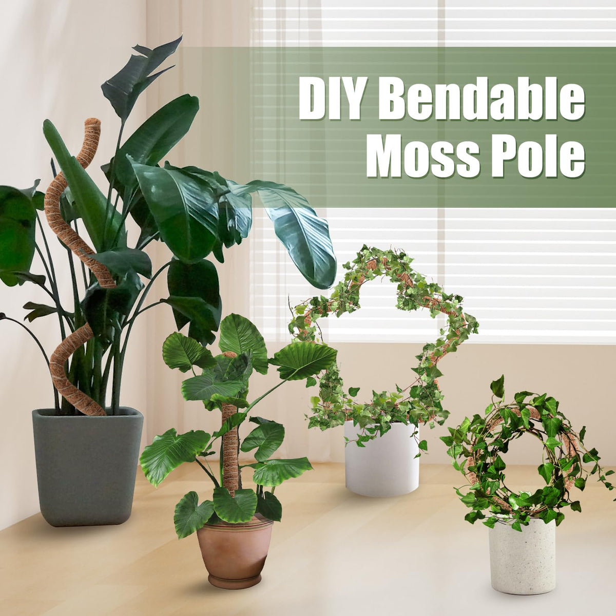 3 Pack Moss Pole 63 Inch Monstera Plant Support Moss Poles Bendable for Climbing Plants Longer Coco Coir Sticks Support Stakes Tall for Indoor Creeper DIY Shape Plants Grow Upwards