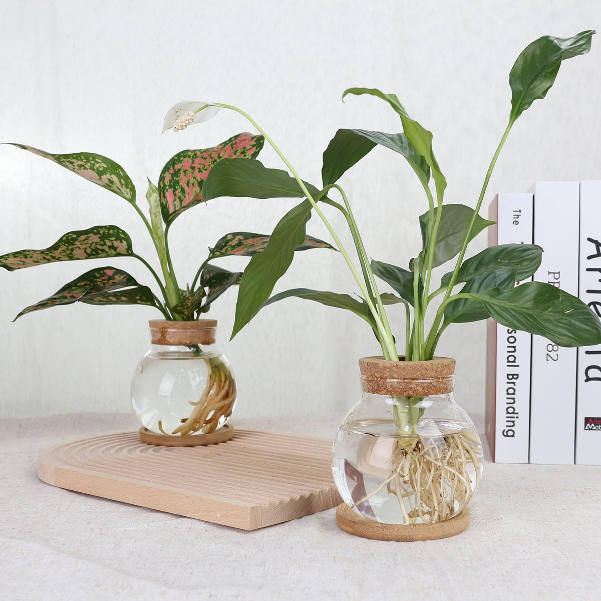 CHPINDAM Plant Propagation Station,Hydroponic Glass Container Vase Jars, with Wooden Saucer for Desks, Houses, Garden Decorations, Home Kitchen Decorations and Gifts for Plant Lovers (6)