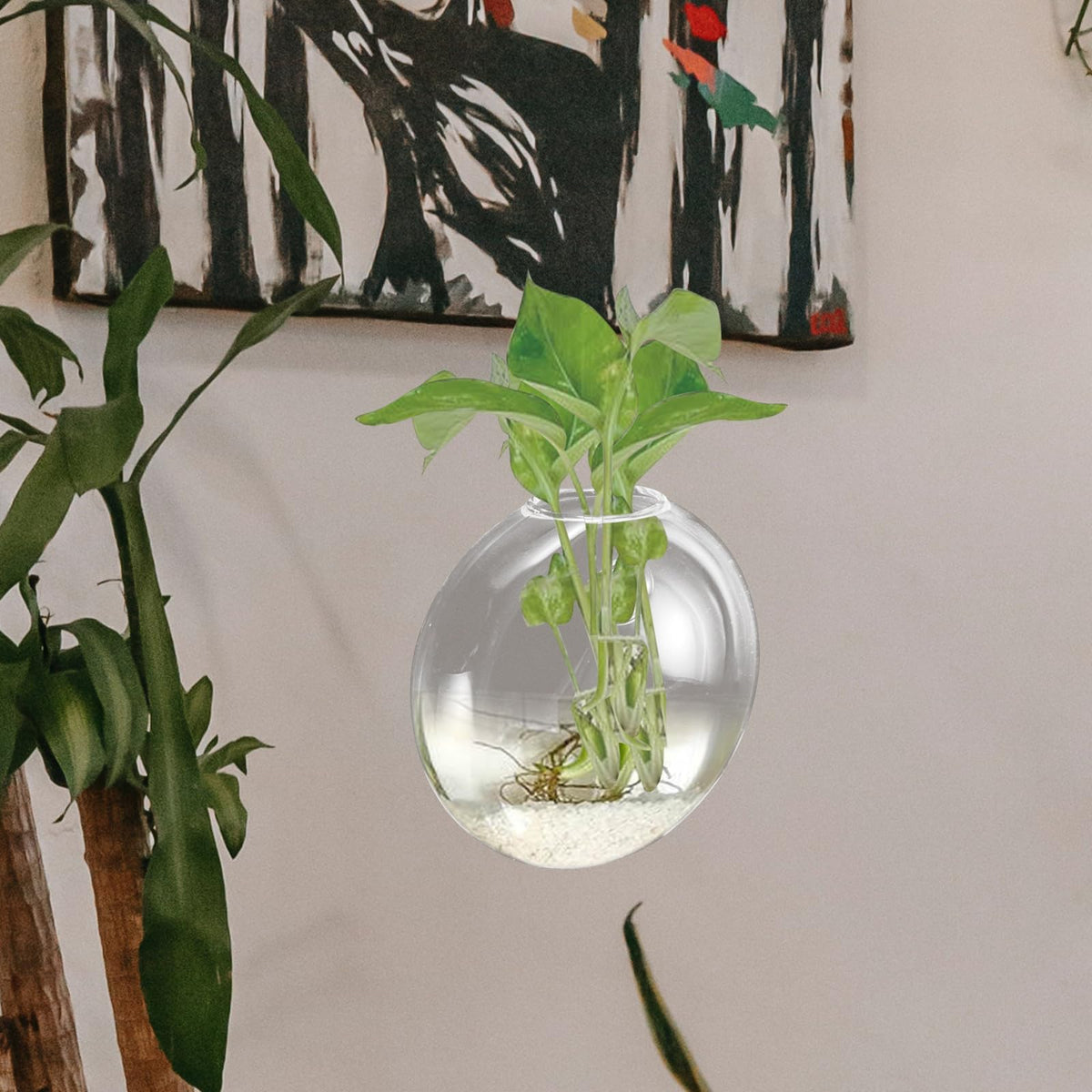 Abaodam Wall Hanging Hydroponic Glass Vase for Plants, Tall Glass Terrarium Planter, Decorative Home Wall-Mounted Flower Pot for Indoor Garden