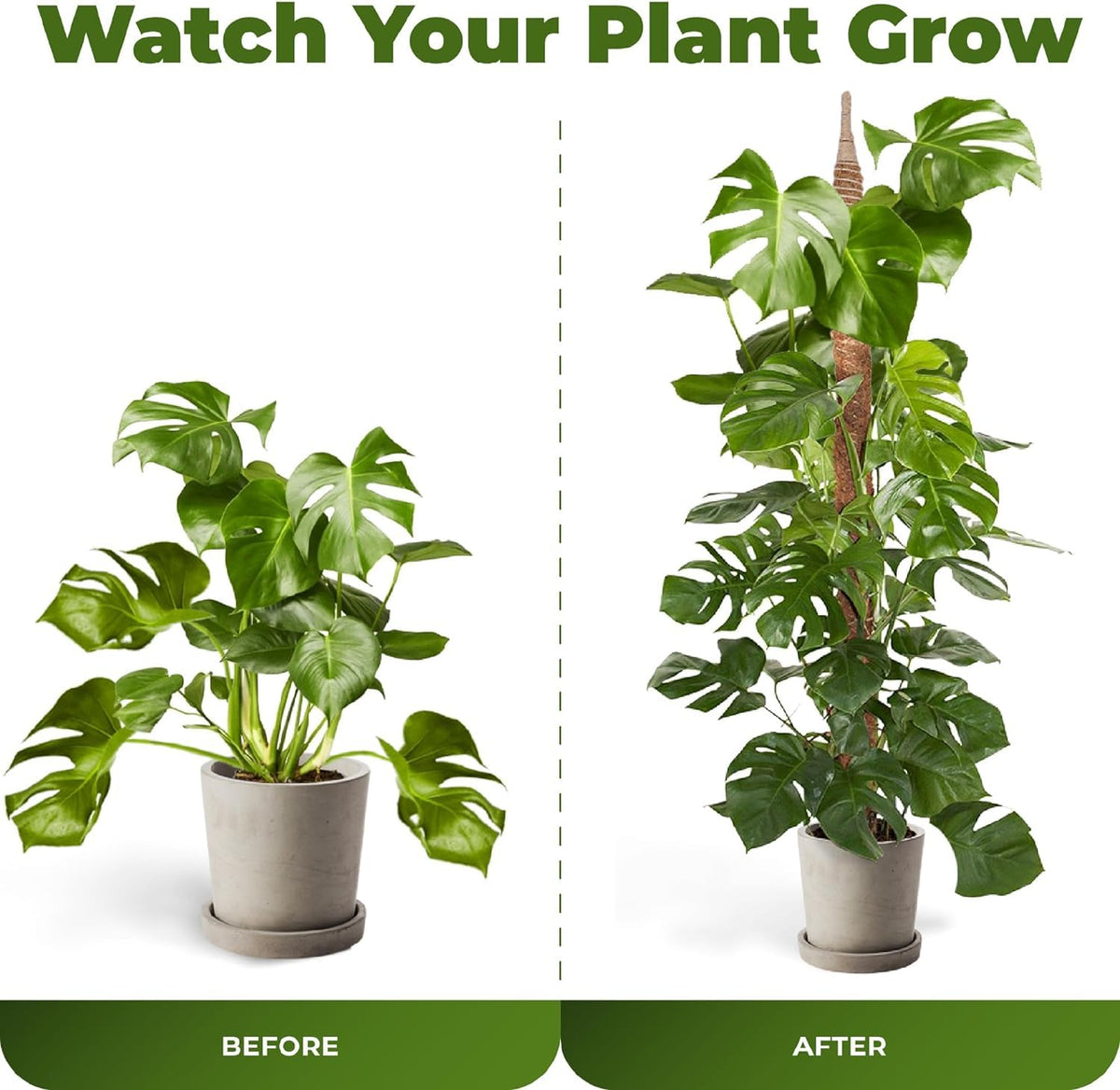 2 Pack 63 Inch Bendable Moss Pole Monstera Plant Support Stakes for Indoor Plants - Tall Moss Stick Trellis for Potted Climbers - Stem Support Accessories for Climbing Houseplants