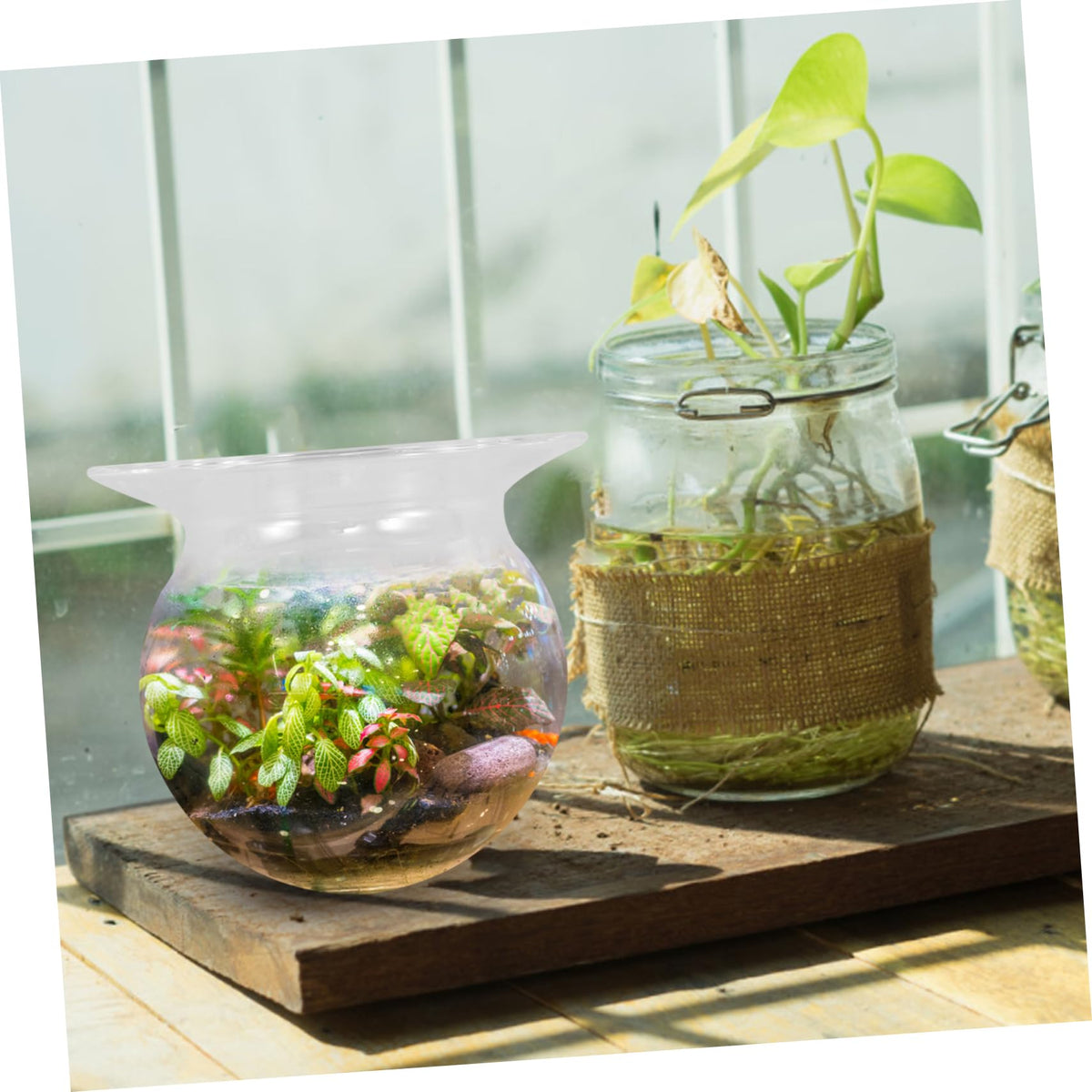BAZEITFLOW 2pcs Glass Vase for Hydroponic Plants Decorative Desktop Flowerpot Modern Terrarium Centerpiece for Home Office Decor for Plant