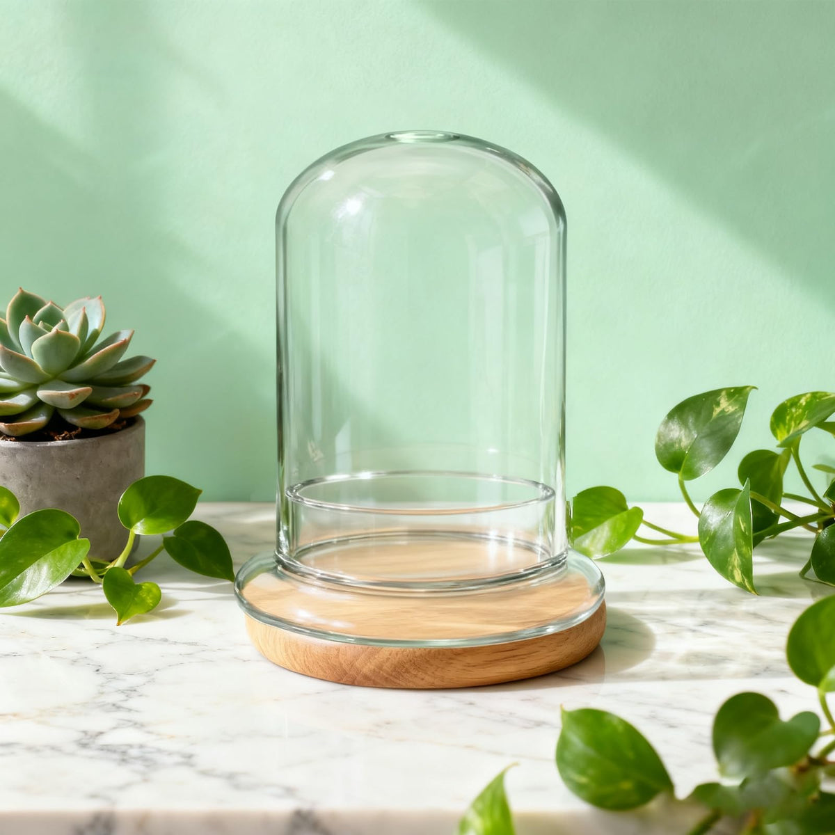 PEDOBALI 2 Pcs 5.9 x 8.46 Inch Glass Terrarium with Airhole and Base Clear Glass Dome Planter Display Container Plants Not Included for Office Desk, Balcony, Coffee Table