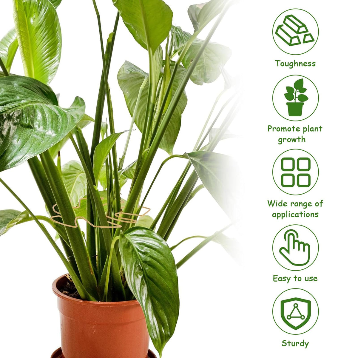 5 Pcs Plant Stem Support, Iron Monstera Plant Support, Durable Hook Stem Supports for Healthy Growth, Bamboo Clamp Set for Leaf Stabilization and Support, Ideal Present for Plant Lovers (6.25IN*7IN)
