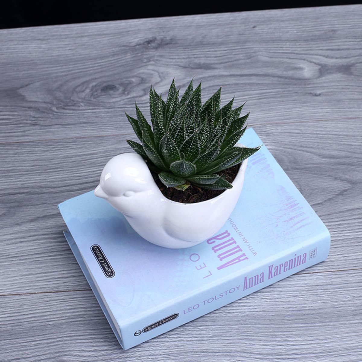 Yardwe Ceramic Bird Shape Succulent Plant Container with Tray Small White Flower Pot for Indoor Desktop Decor