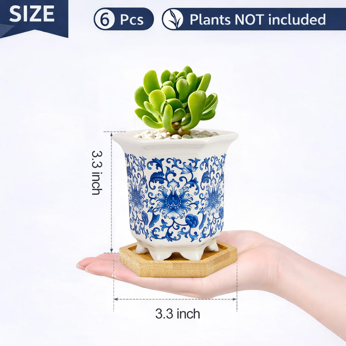 Succulent Pots, Small Ceramic Pots for Plants Set of 6, 3.3" Succulent Planters with Drainage & Saucers, Mini Plant Pots for Indoor Plants, Cactus, Small Flower Pots for Home Office