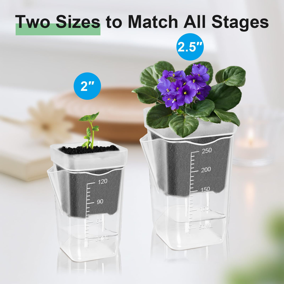 ZPAIO 24 Pack 2.5" Small Self Watering Pots for Indoor Plants, Clear Plant Pots with Drainage & Water Level, Semi Hydroponic Pots for Propagation, African Violet, Cutting and Succulents