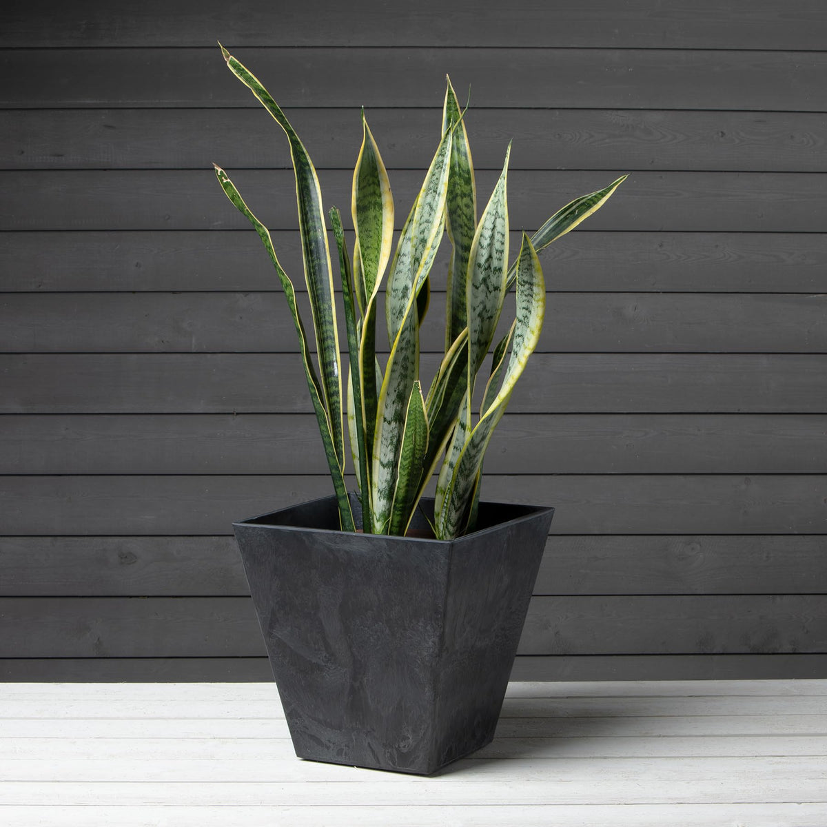 Root & Vessel 35148, Black, Ella Square Planter, 14-Inch