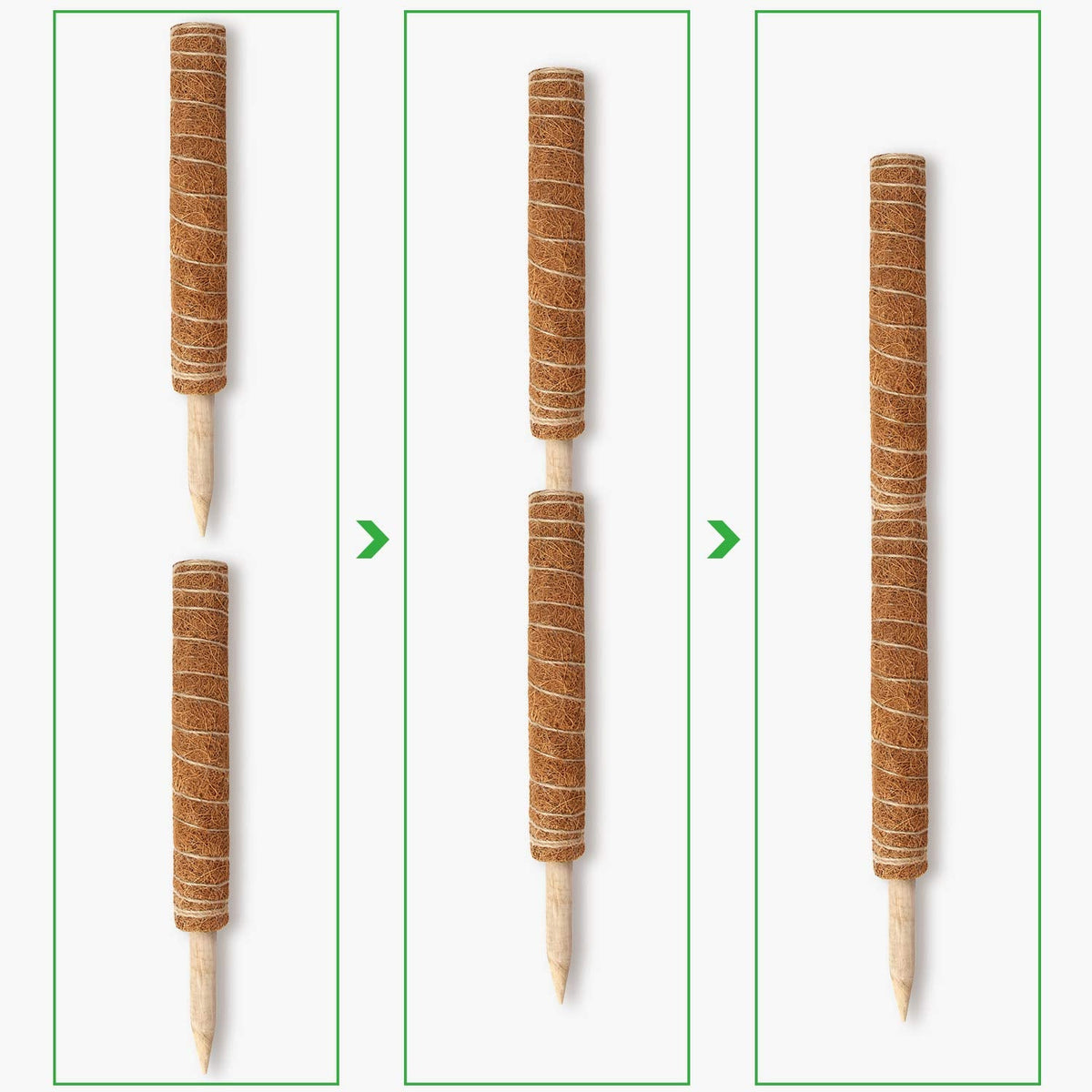 Moss Pole, Augshy 48 Inch Moss Poles - 4Pcs 12 Inch Coir Totem Poles Moss Climbing Sticks for Indoor Creepers Plant Support Extension