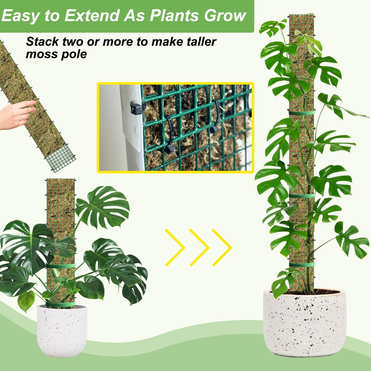 24" Metal Moss Pole, D Shape Sphagnum Moss Pole, Moss Poles for Climbing Plants, Monstera, Indoor Climbing Plants (2Pcs 24")