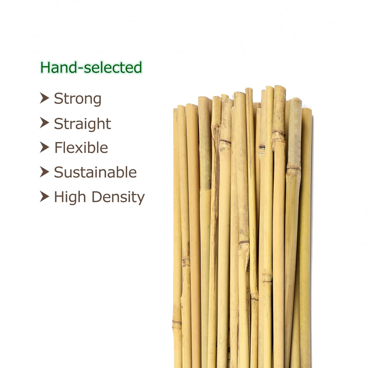 Cambaverd 6ft Bamboo Garden Stakes Eco-Friendly Plant Stakes 6 Feet, Bamboo Poles for Tomatoes Beans Climbing Plants Support - Pack of 20 Bamboo Stakes