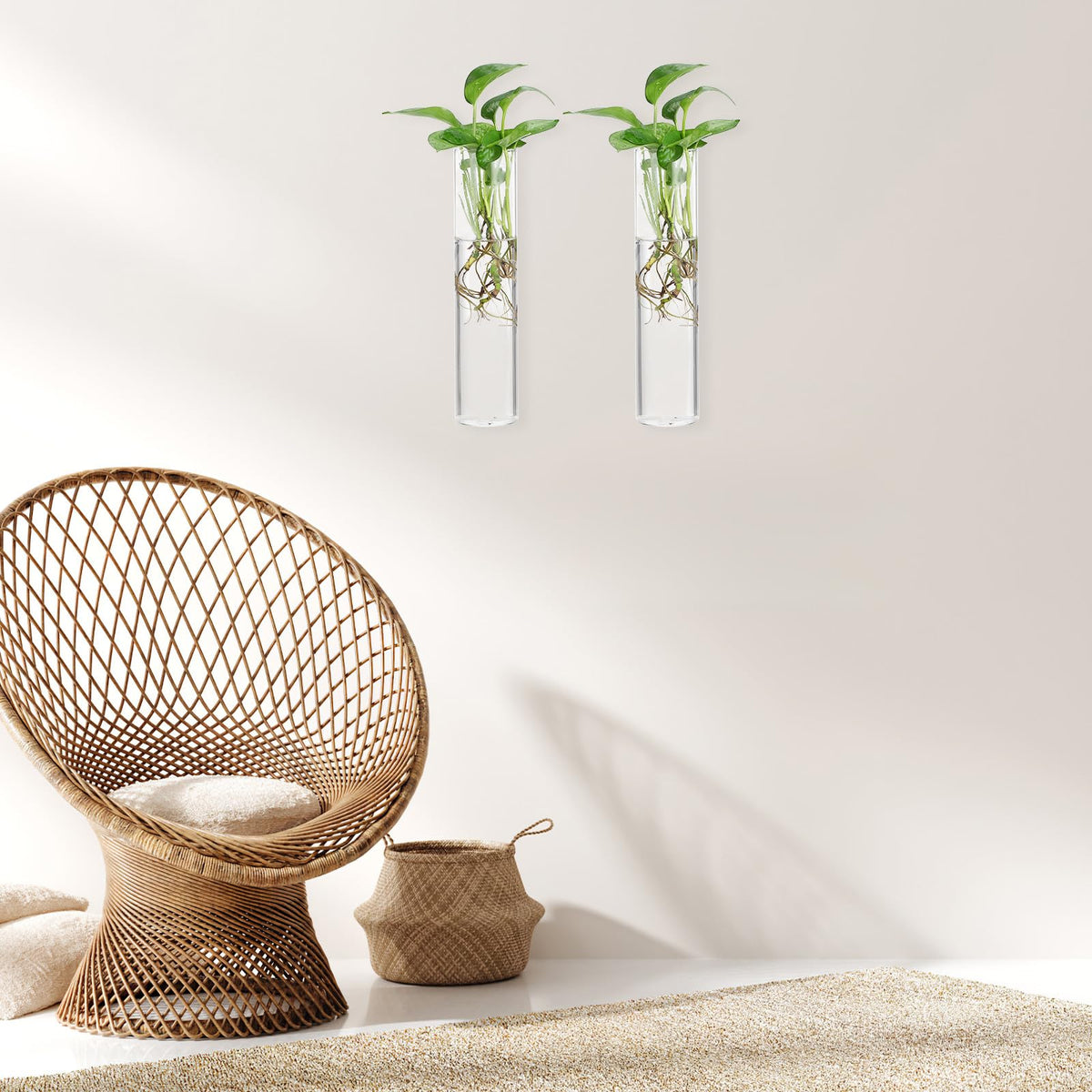 FOMIYES Wall Hanging Glass Planter Vase Set, 2pcs Large Cylinder Glass Wall Vases for Indoor Plants, Hydroponic Propagation Station and Terrarium Flower Holders, Home Décor