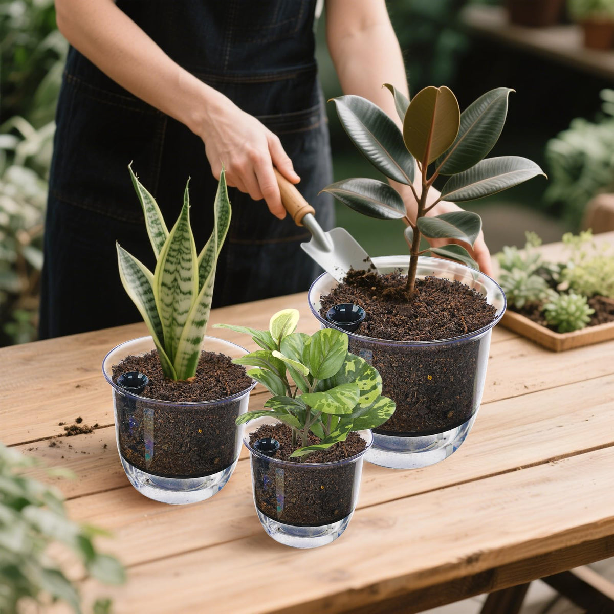 IWNTWY Plant Pots 6/5/4 inch Set of 3, Self Watering Pots for Indoor Outdoor Plants Flowers, Self Watering Planters with Reservoir, Drainage Hole and Absorbent Cotton Rope
