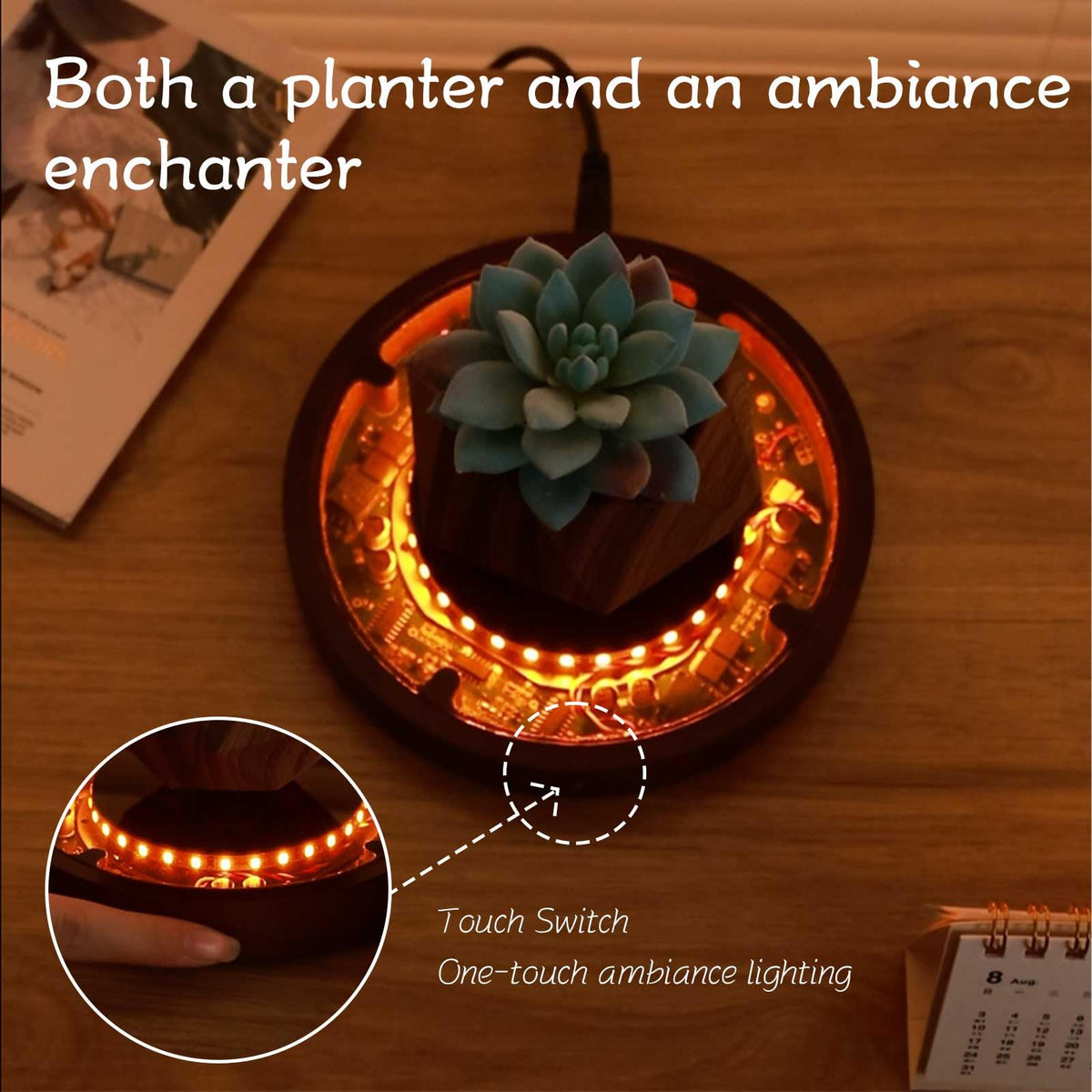 CENTRALEV Magnetic Levitating Plant Pot with LED Light, 360° Rotating Floating Planter for Succulents, Unique Gift for Christmas, Valentine's & Mother's Day, Modern Home Office Desk Decor