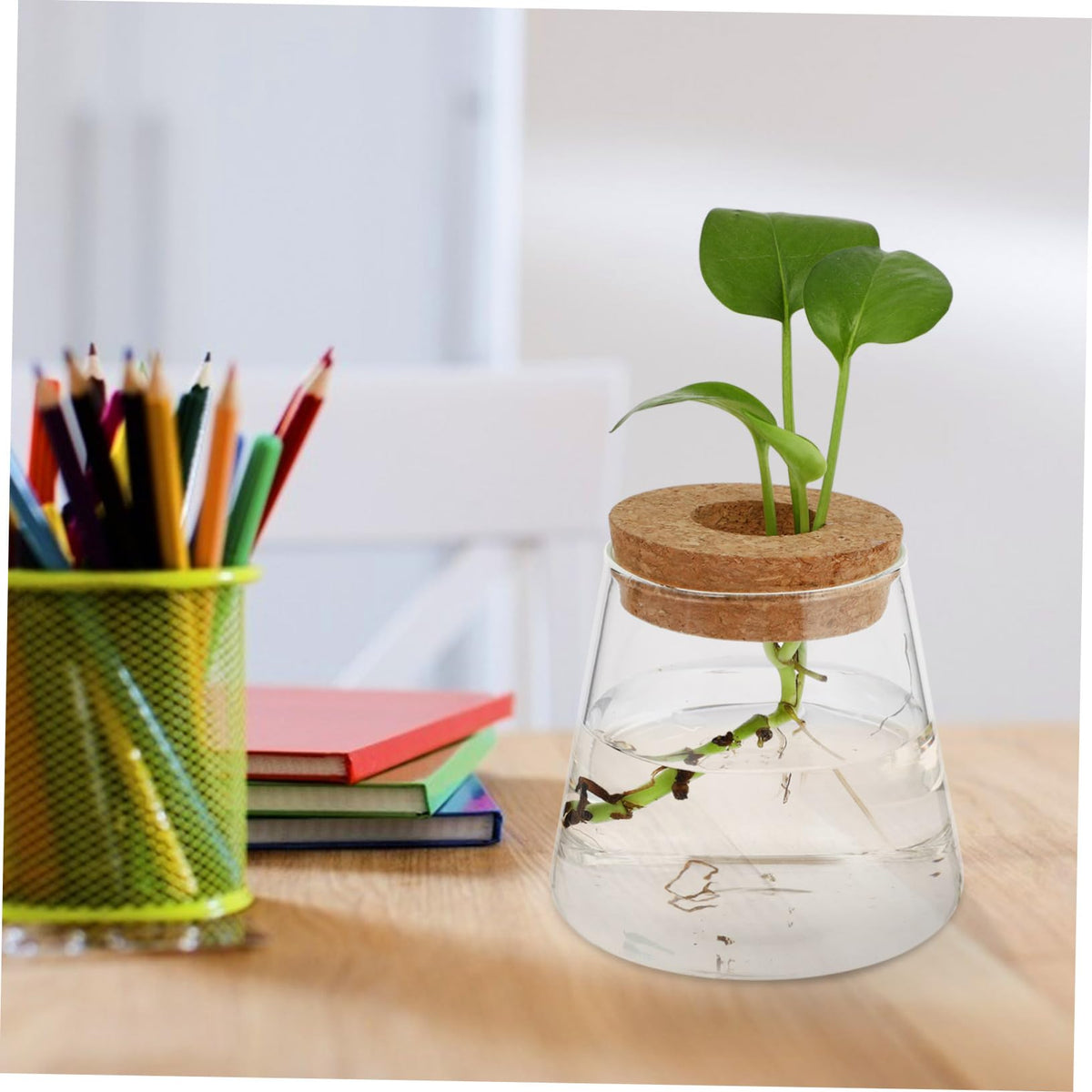 Ipetboom 2Pcs Glass Hydroponics Vase for Desktop Plant Propagation Home Decoration Terrarium Planter with Smooth Finish Stylish Glass Bottles for Floral Arrangement and Gift Ideas