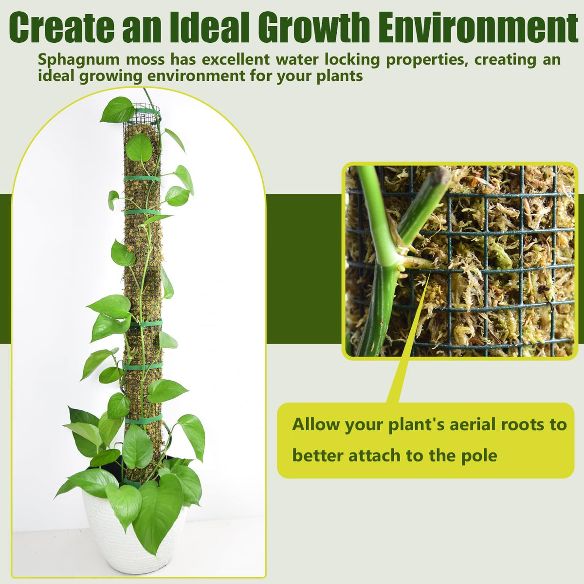 6 Pack Metal Moss Pole, 40"/24"/15" Moss Poles for Plants Monstera, Stackable Sphagnum Moss Pole for Plants Work with Sphagnum Moss(6 Pack 40")