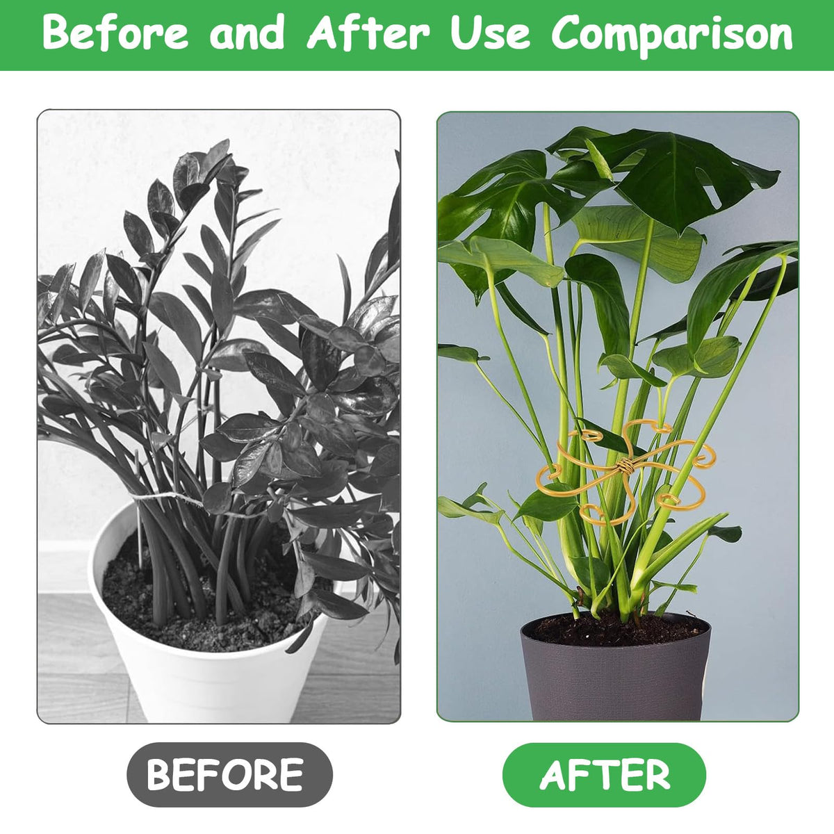 5 Pcs Plant Stem Support, Iron Monstera Plant Support, Durable Hook Stem Supports for Healthy Growth, Bamboo Clamp Set for Leaf Stabilization and Support, Ideal Present for Plant Lovers (5.5IN*5.5IN)
