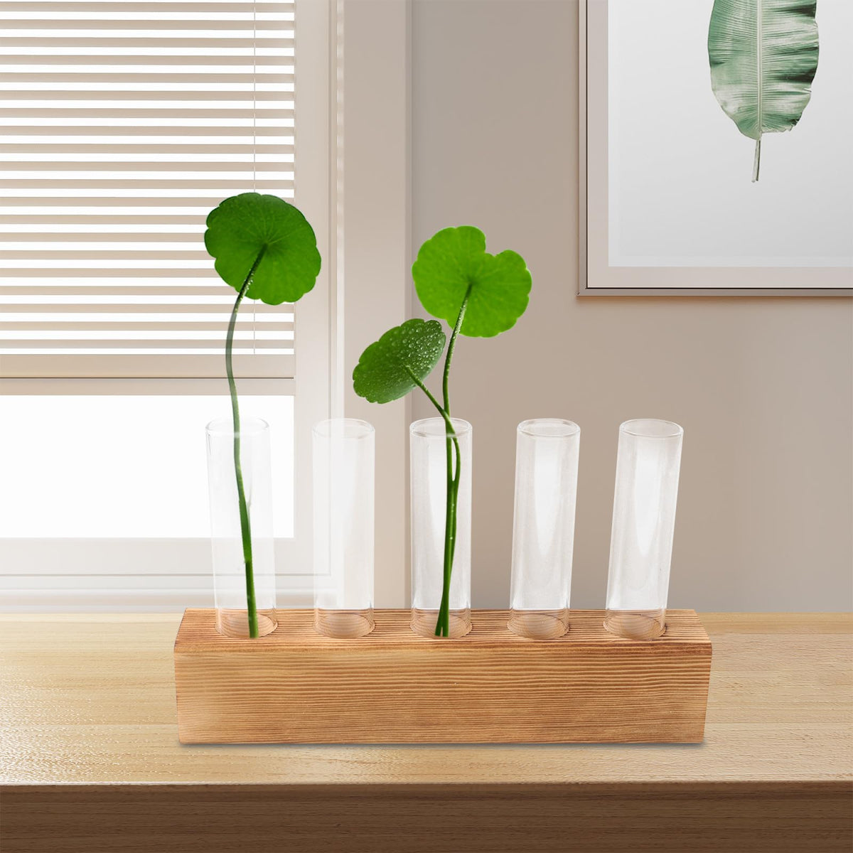 BESPORTBLE Hydroponic Glass Vase with 5-Hole Wooden Stand, Indoor Plant Terrarium for Desktop Decor and Air Plant Propagation, Creative Home Garden Holder