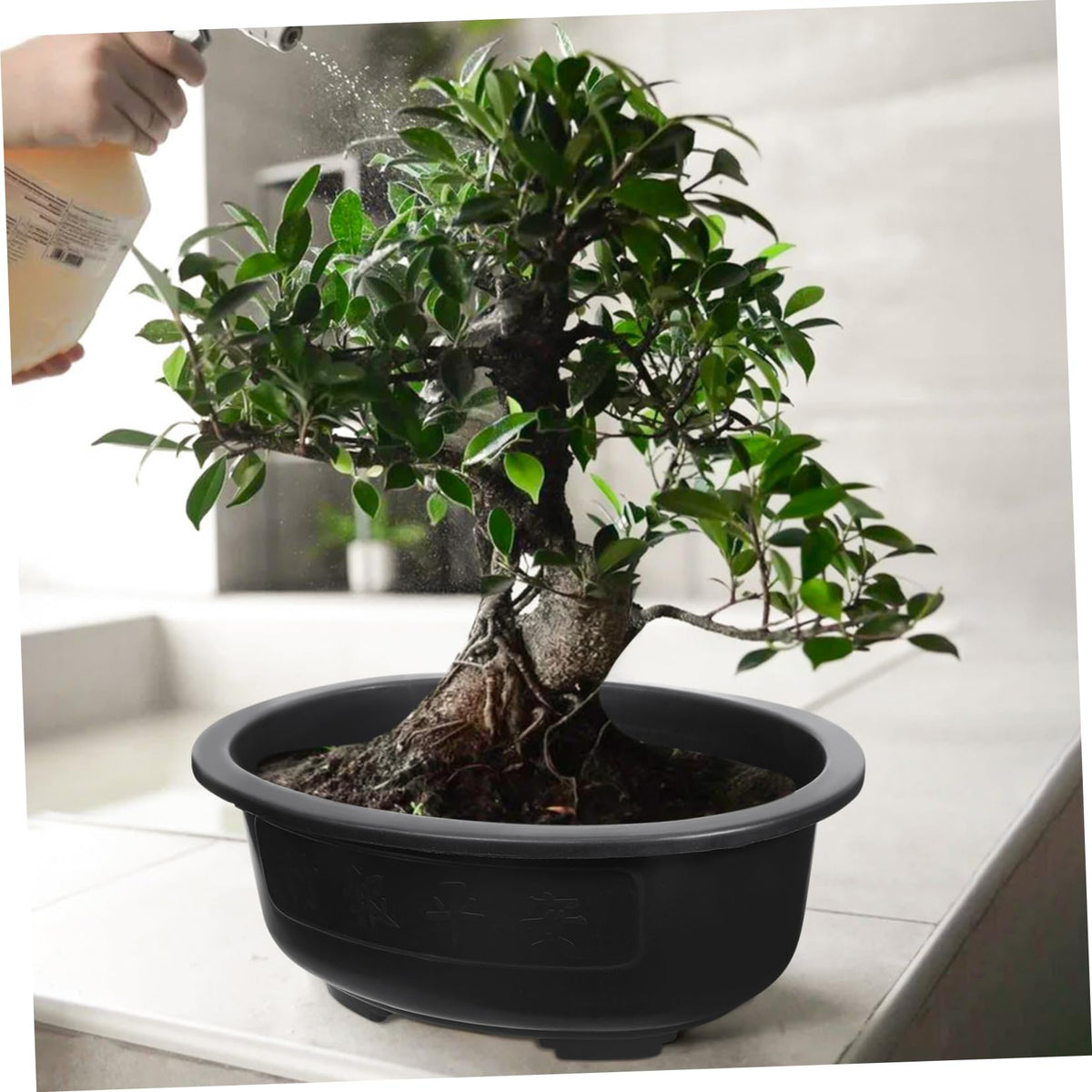 DOITOOL 2Pcs Bonsai Training Pot 15 inch Plastic Flower Pot Bonsai Pot with Drainage Hole, Oval Bonsai Planter Pot Plants Growing Pots for Nursery, Garden, Balcony, Black