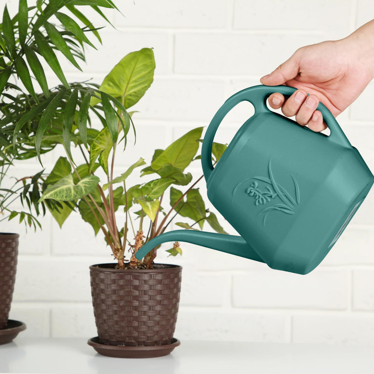 ZXJ Grip Plant Watering Can - for Indoor and Outdoor Home Garden Plants - with Long Spout - Emerald Green - 1/2 Gallon