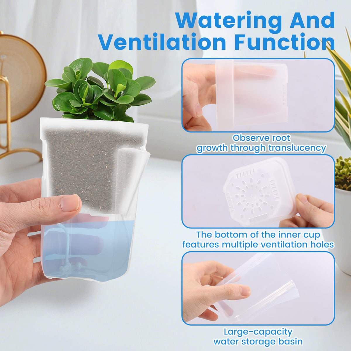Fizocosisto 12Pcs 2.5Inch Self Watering Pots for Indoor Plant Mini Clear Plastic Planter for Hoya African Violets Alocasia