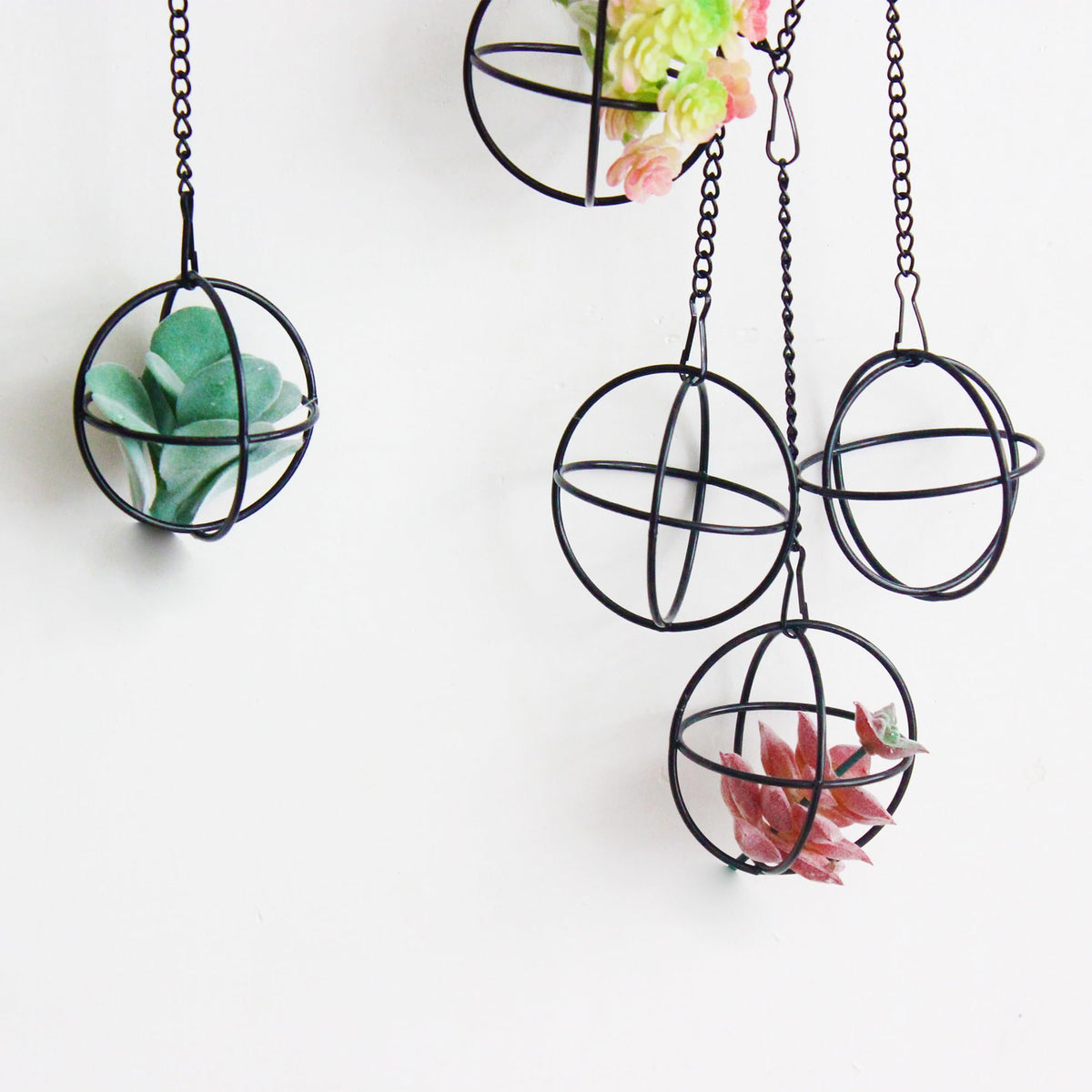 libproqia 6 Set Air Plants Hanging Holders Black Metal Himmeli Decor Modern Geometric Airplants Planter Air Fern Plants Hanger for for Home for Plant Lovers
