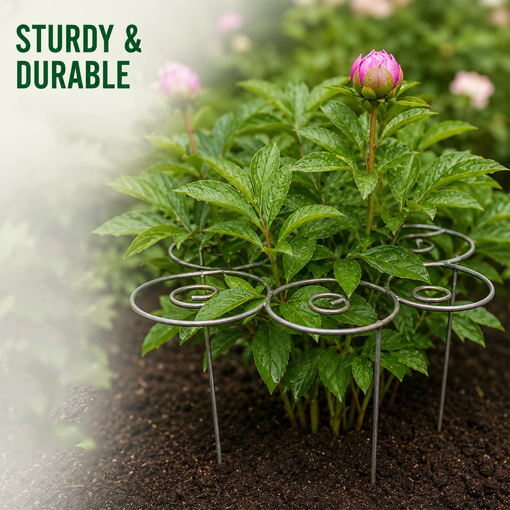 jenvd Metal Plant Support Ring for Garden Flowers, Stackable Plant Stakes for Indoor Outdoor Pots (M)