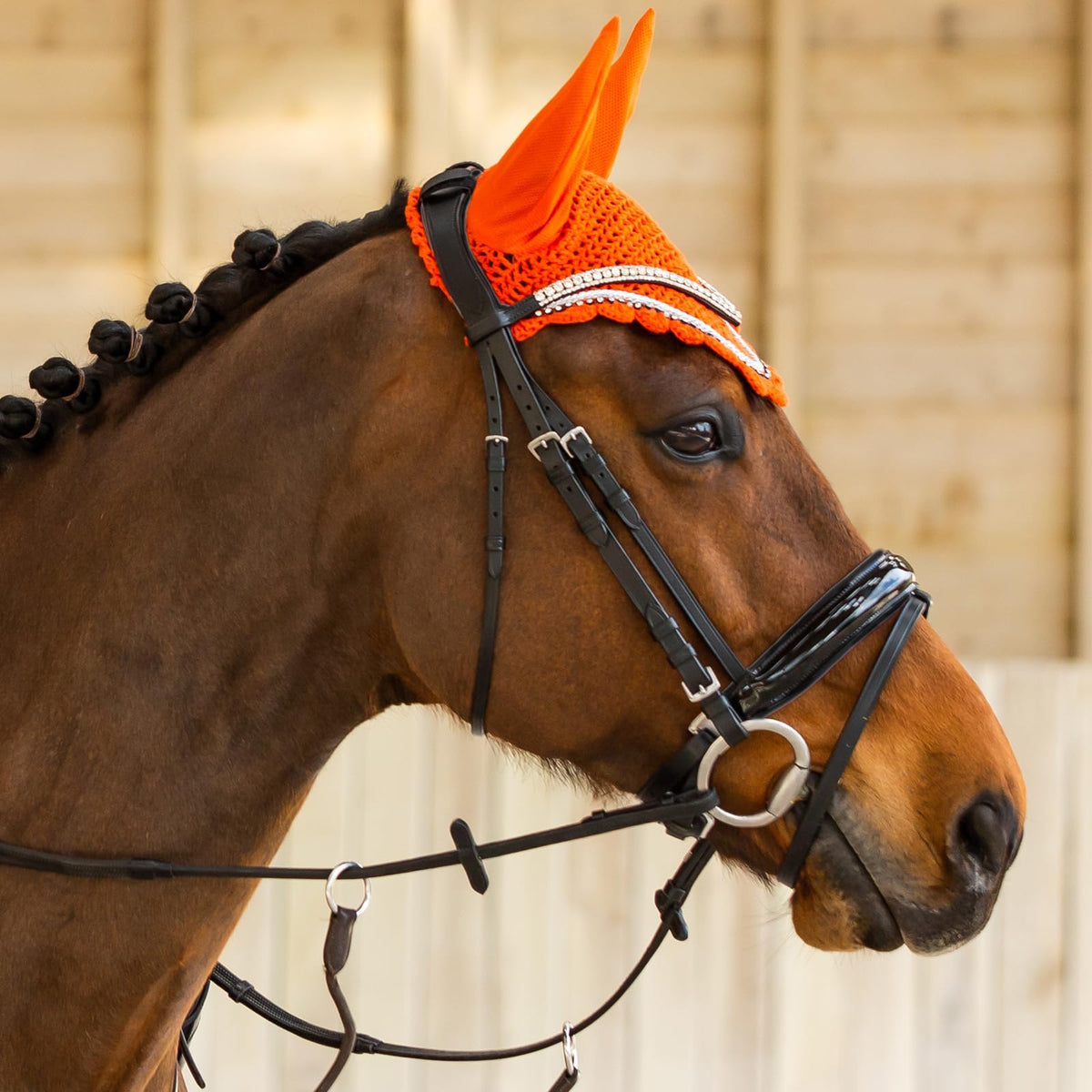 HORZE Grayson Classic Leather Ergonomic Snaffle Dressage Bridle with Detachable Flash - Black - Cob