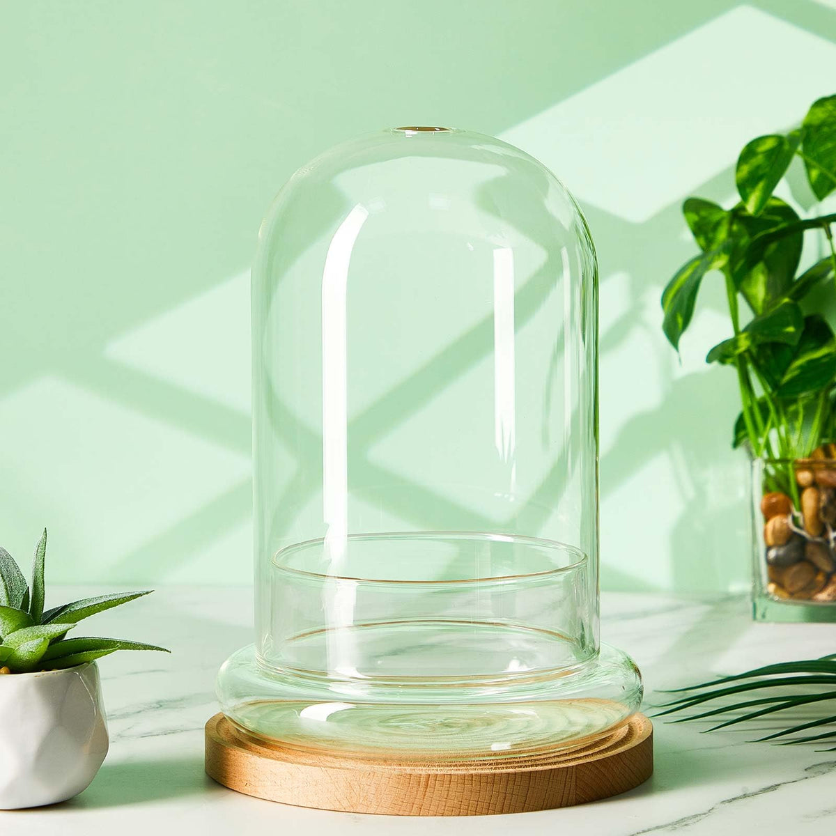 Perthlin 1 Pcs 5.9 x 7.9 Inch Glass Terrarium Clear Terrarium Planter Container Glass Dome Cloche with Airhole and Base for Plant Flower Home Tabletop Display Centerpiece, Plants Not Included