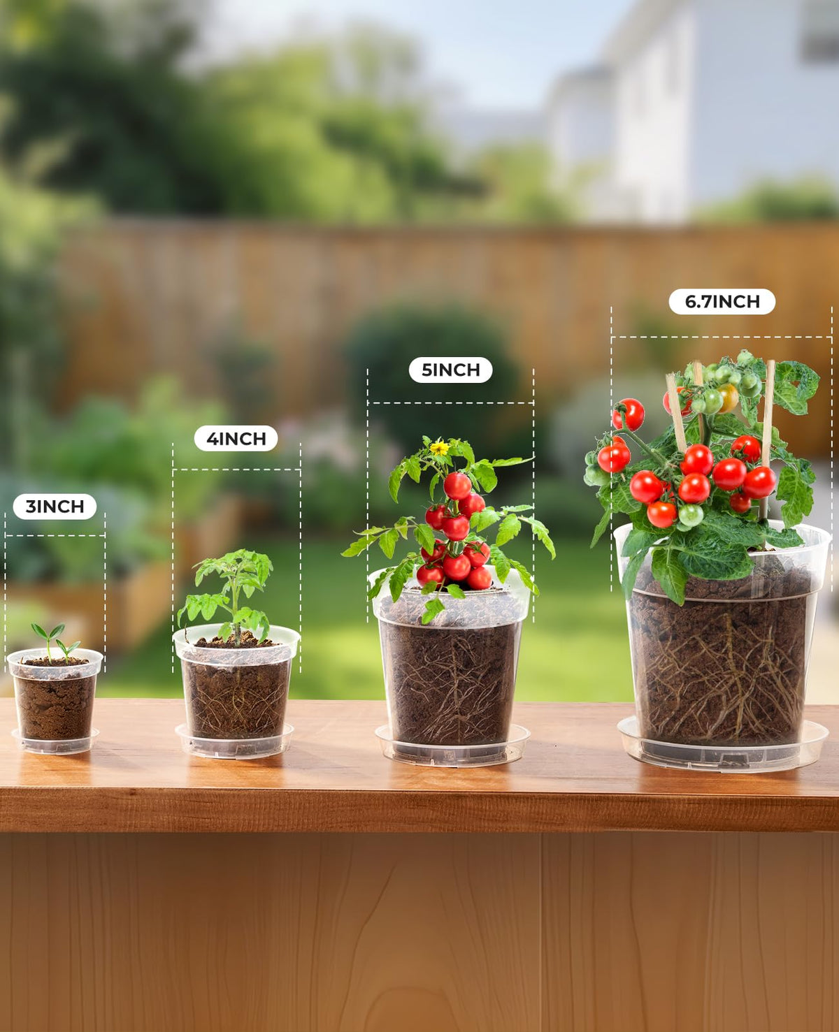 homenote 3/4/5 Inch Clear Nursery Pots 24 Pack with Drainage and Plant Saucers, Variety Pack Rigid High-Transparency Plastic Nursery Pots for Plants, Planter Nursery Pots with Upgraded Drainage Holes