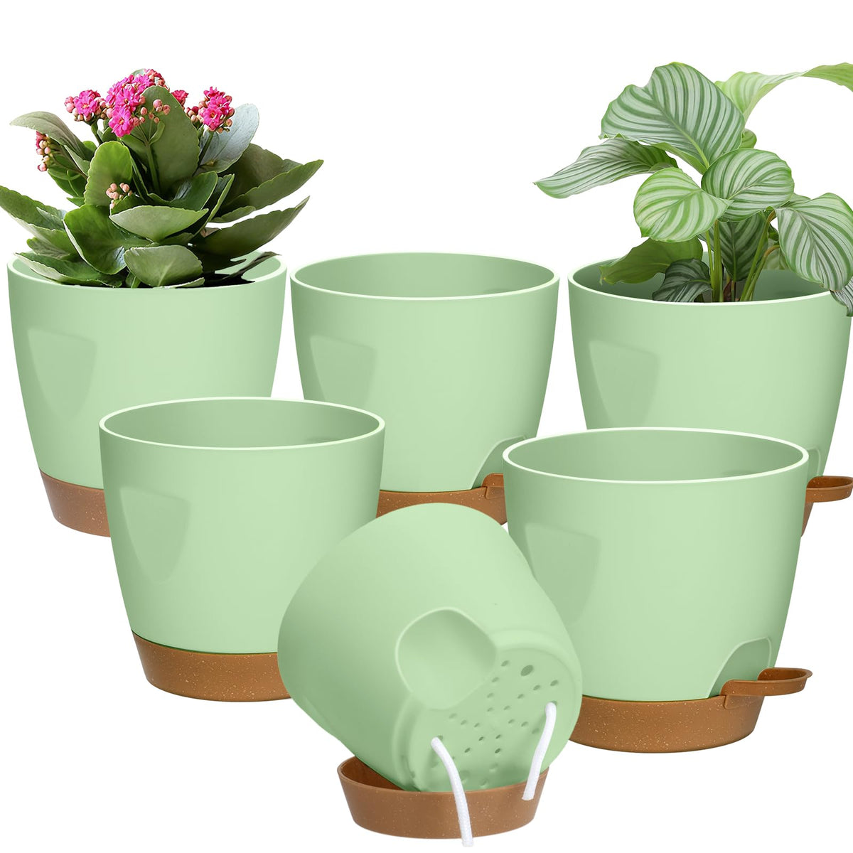 5-Pack Plant Pots with Drainage 7/6.5/6/5.5/5 Inch Self Watering Pots for Indoor Outdoor Plants, Plastic Flower Pots with Drainage Holes and Removable Saucers, Plant Pots with Wicking Rope (Green)
